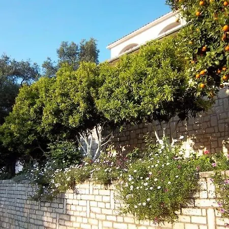 Apartament Senses Kassiopi