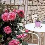 Apartament Senses