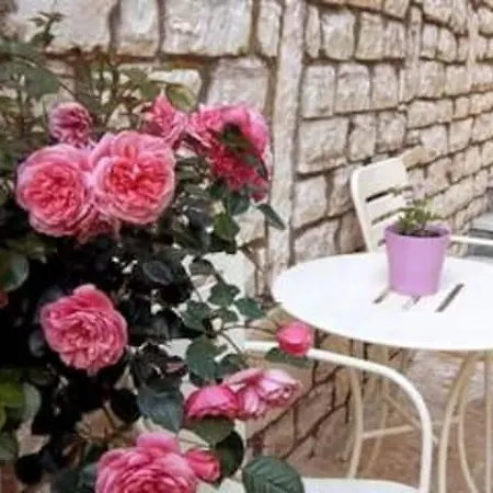 Apartamento Senses