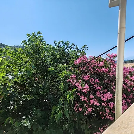 Senses Apartamento Kassiopi